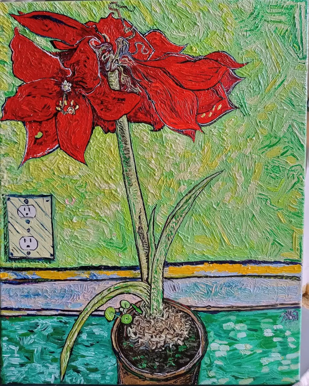 Red Amaryllis Bloom