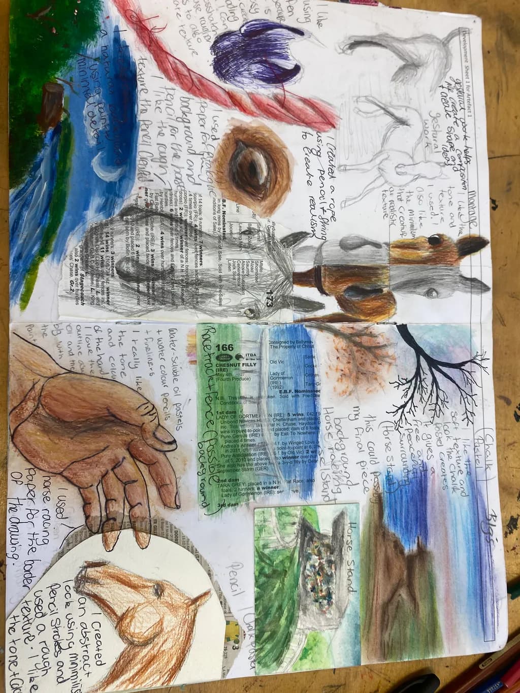 Equine Studies Collage