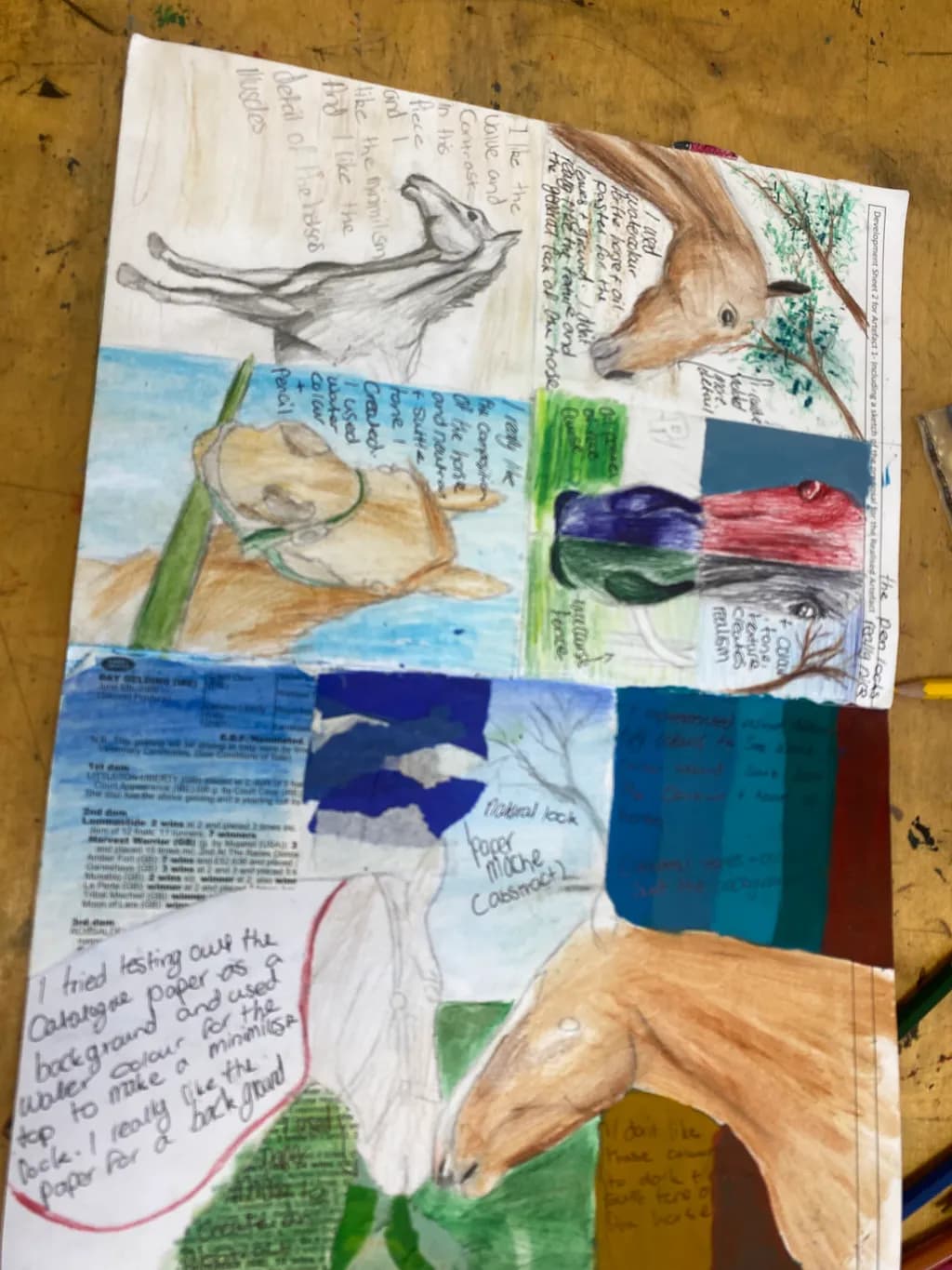 Equine Studies