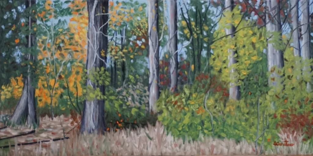 Forest Edge