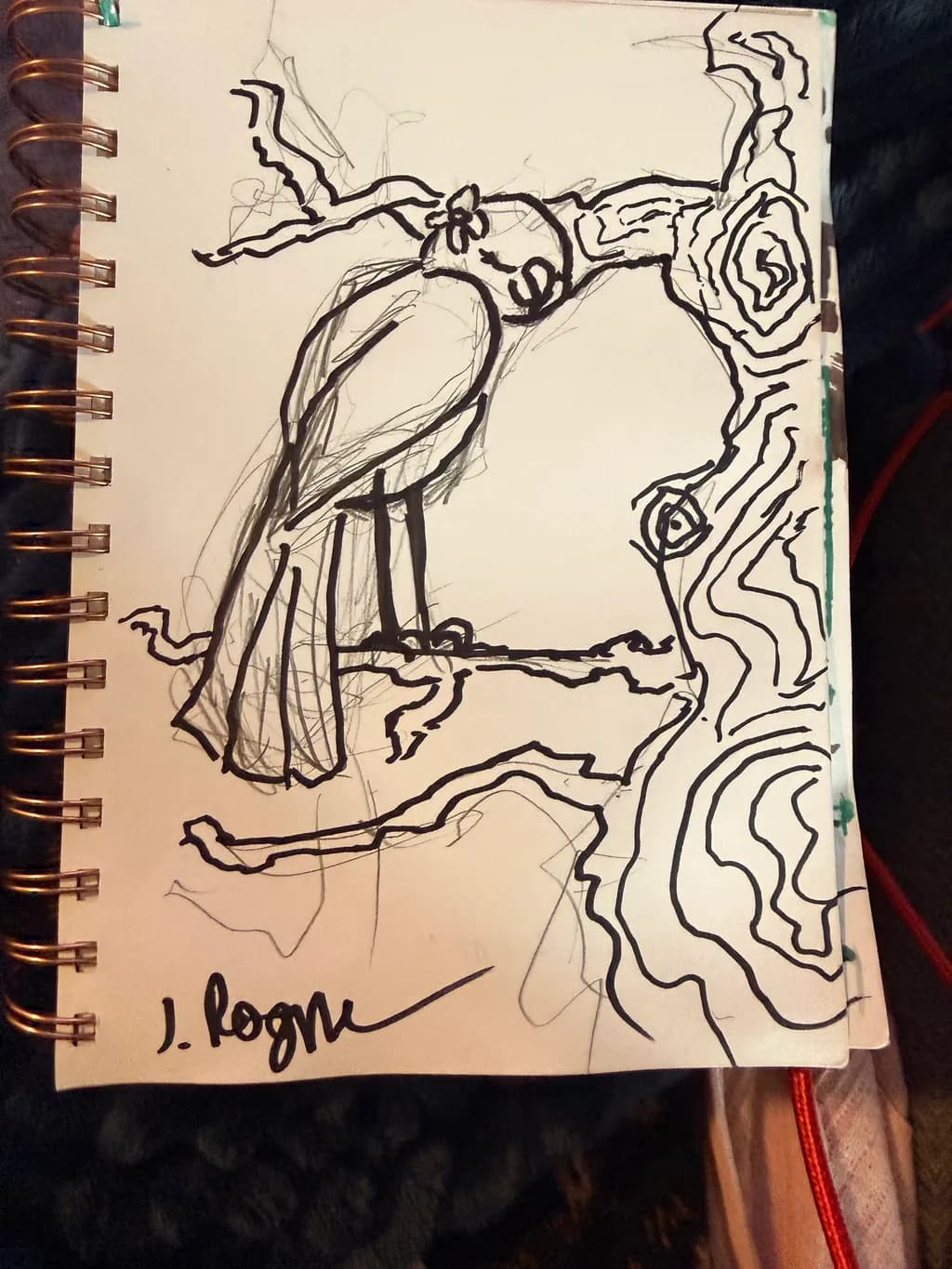 Branch Sentinel