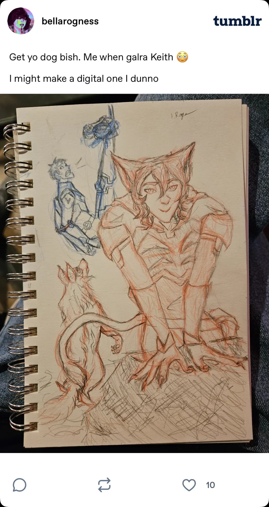 Catboy Confident