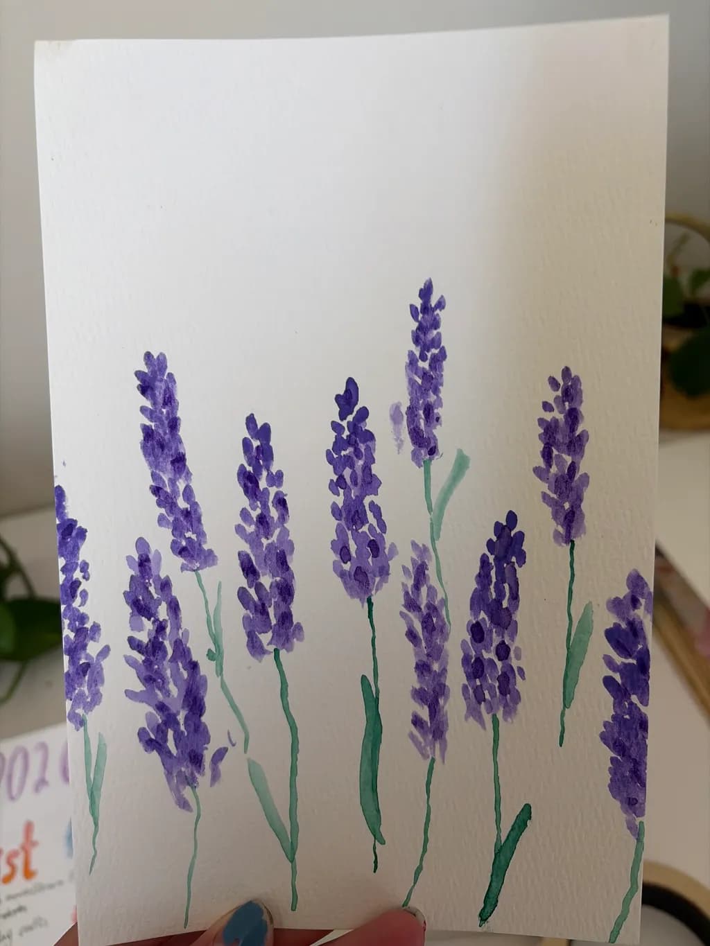 Lavender Stems