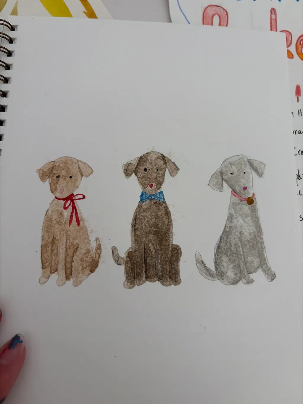 Trio of Collars