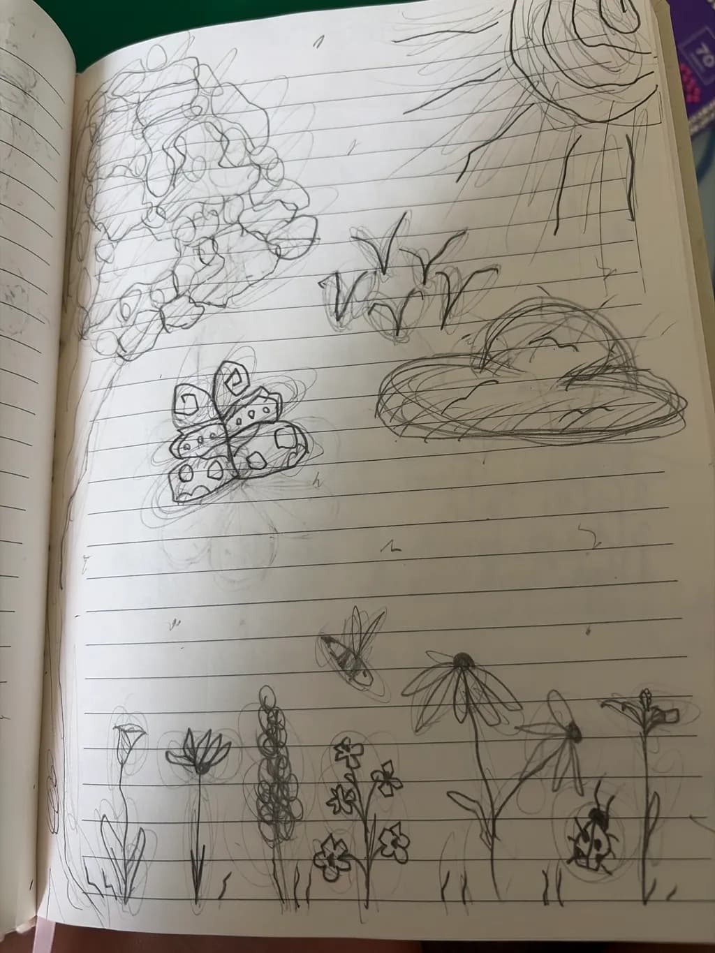 Garden Sketches