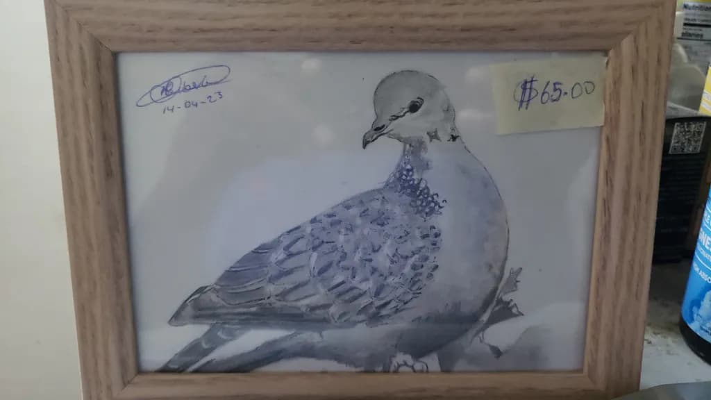 Quiet Dove