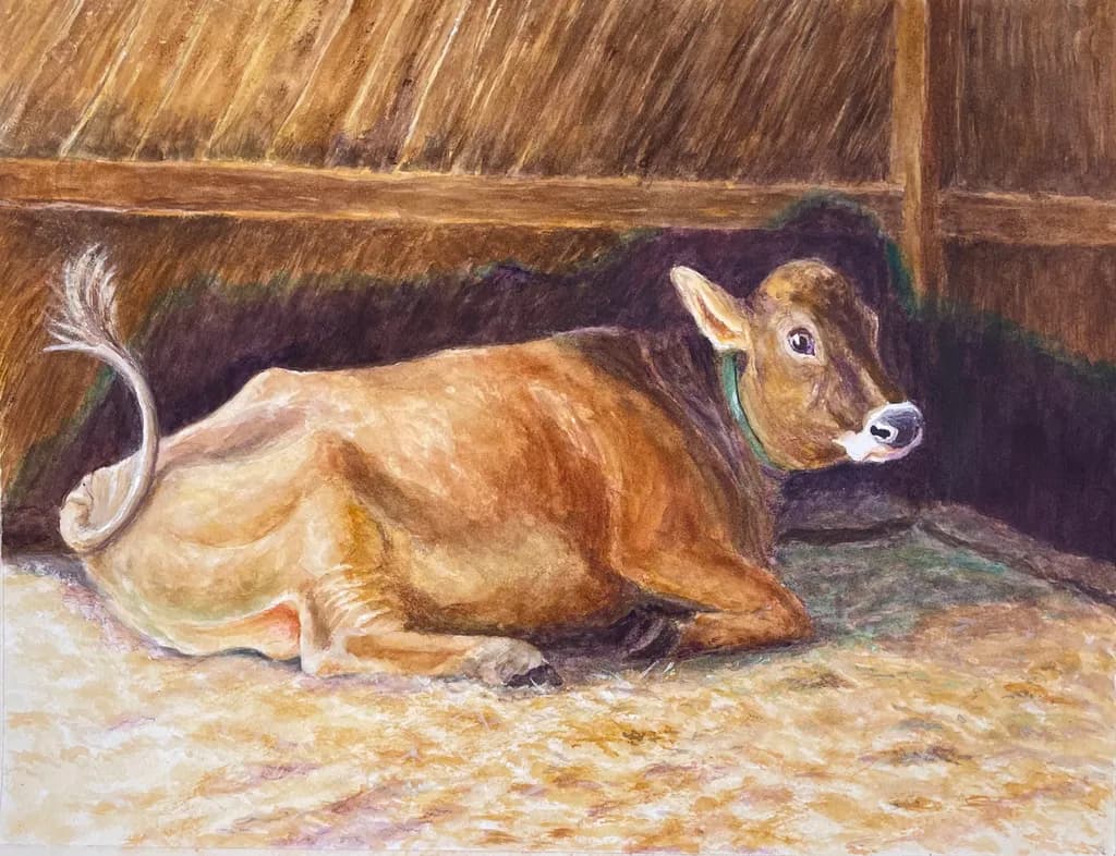 Resting Jersey