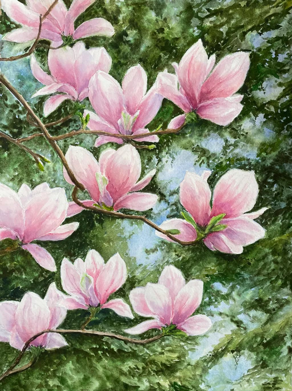Pink Magnolia Bloom