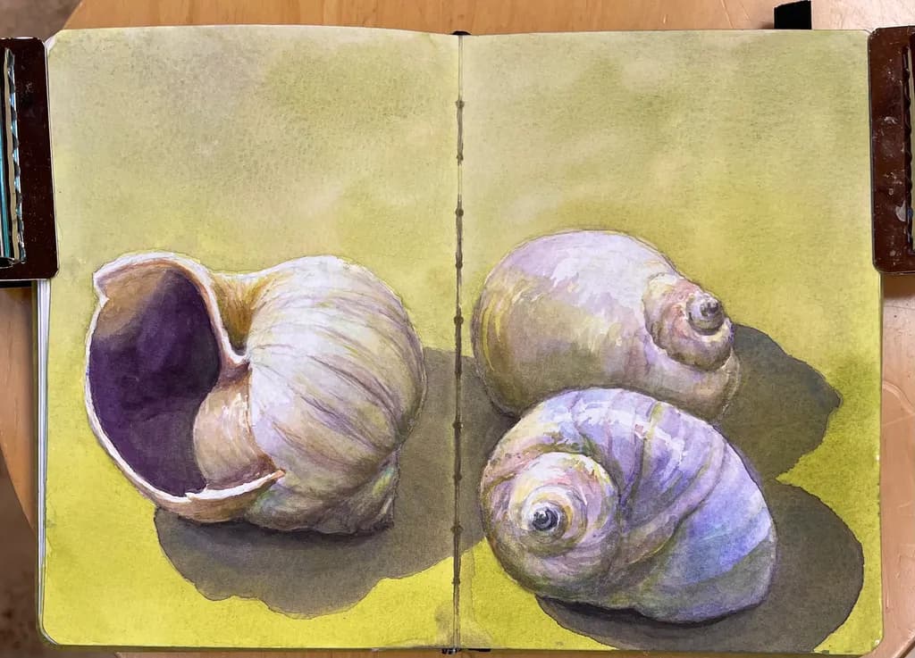 Quiet Shells