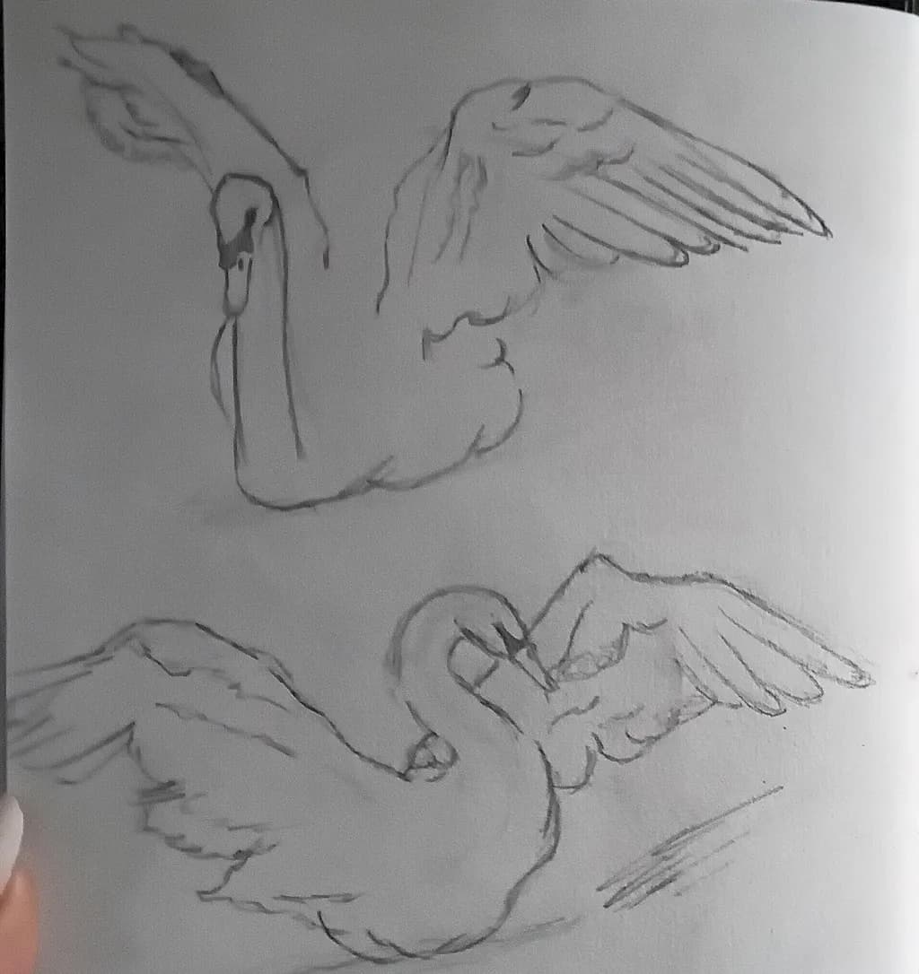 Graceful Flight