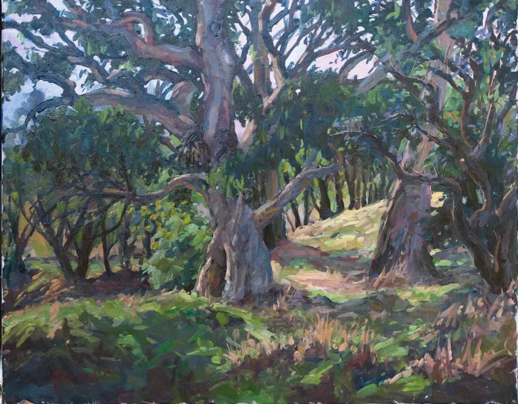 Gumtrees at Petchys Bay