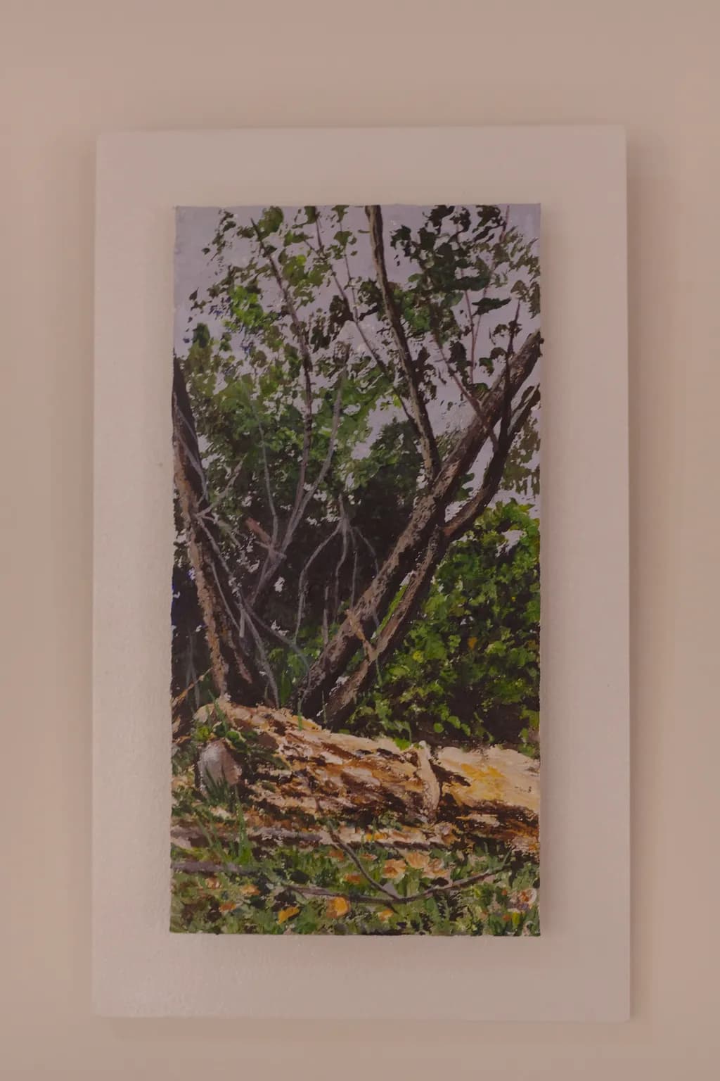 Forest Fallen Trunk