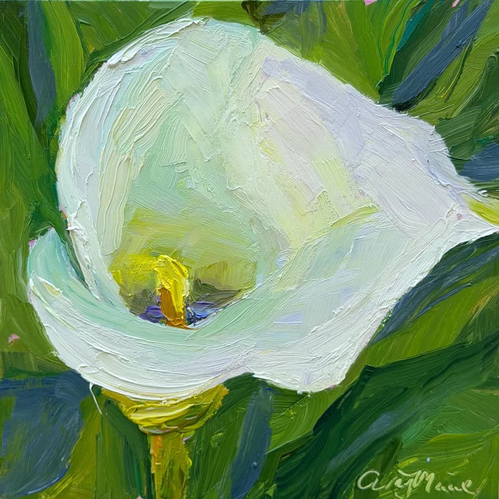 Calla Lily