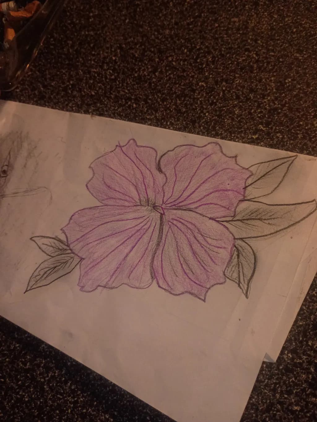 Lavender Bloom