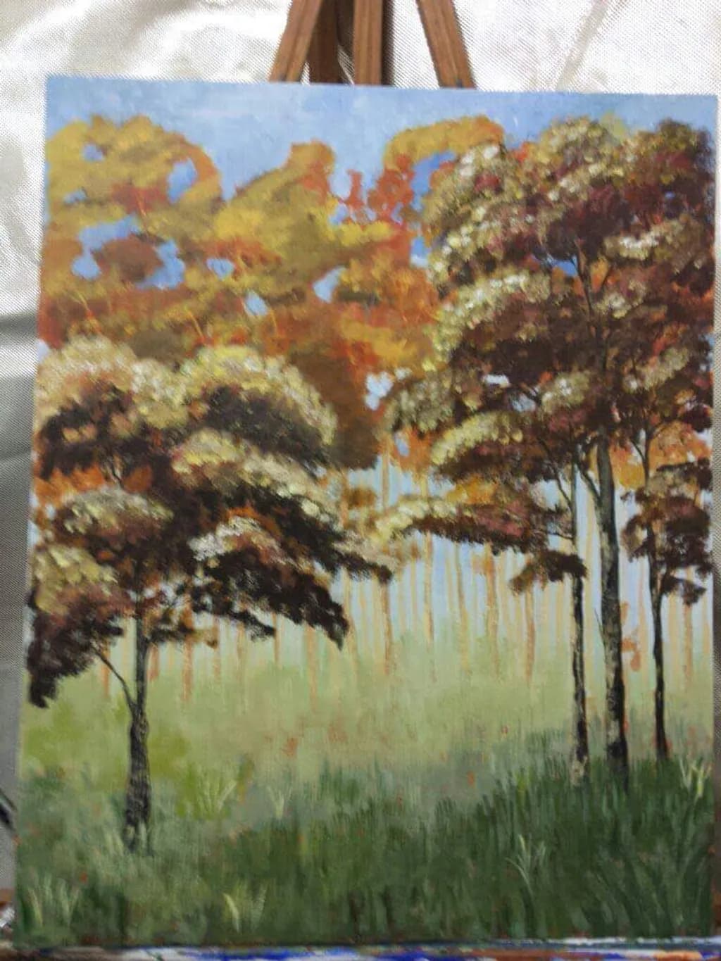 Autumn Canopy