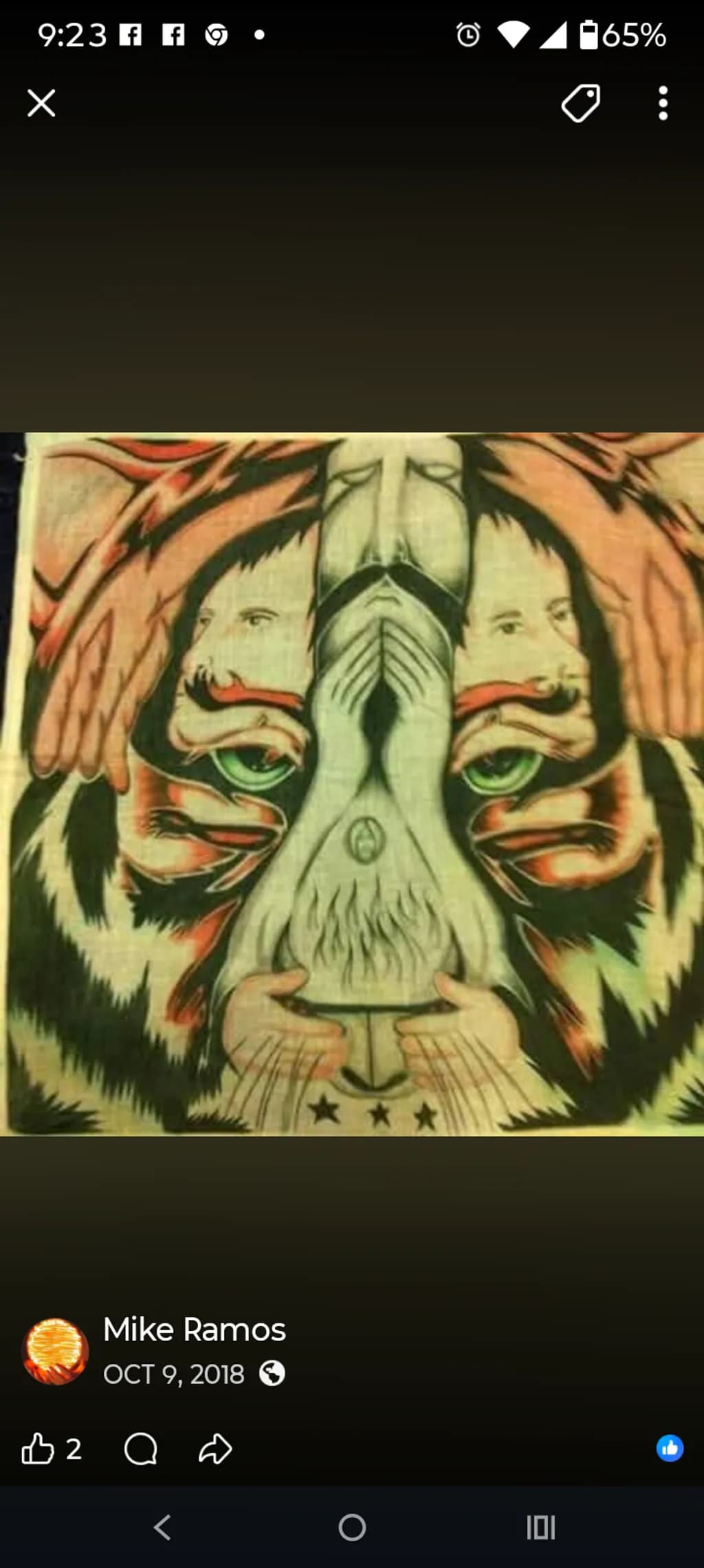 Tiger Face Illusion