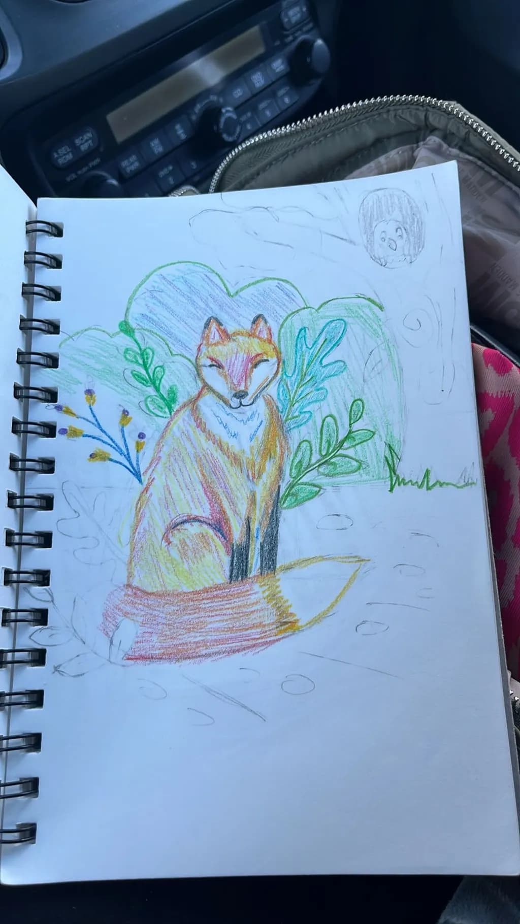 Forest Fox Reflection