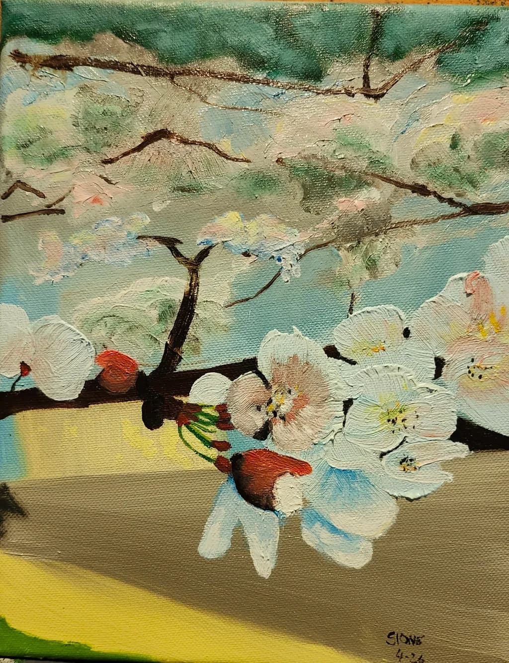 Blossom Branch