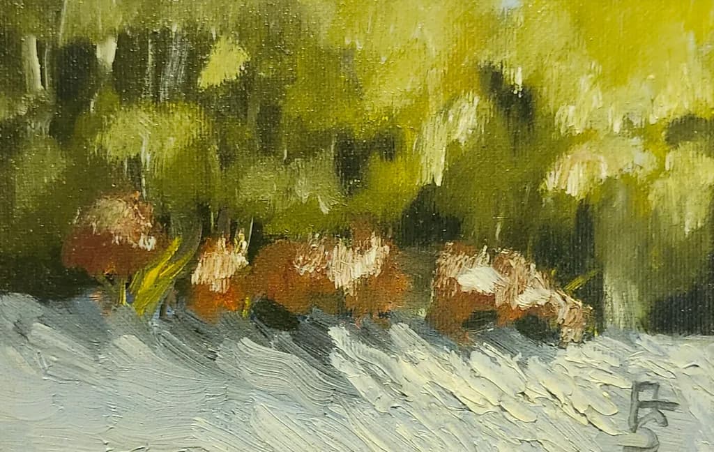 Forest Edge Shadows