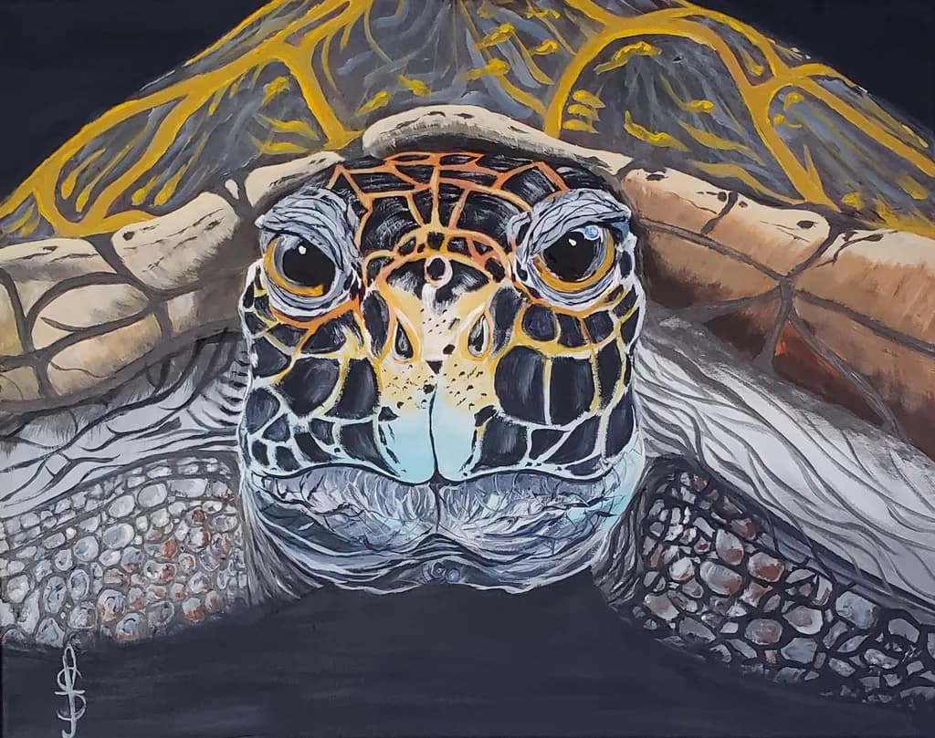 Turtle Gaze