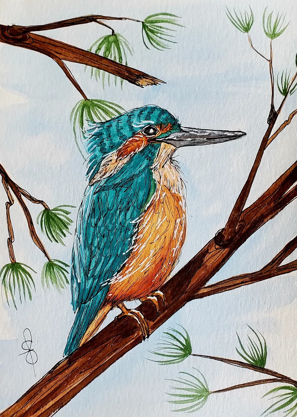 Kingfisher Perch