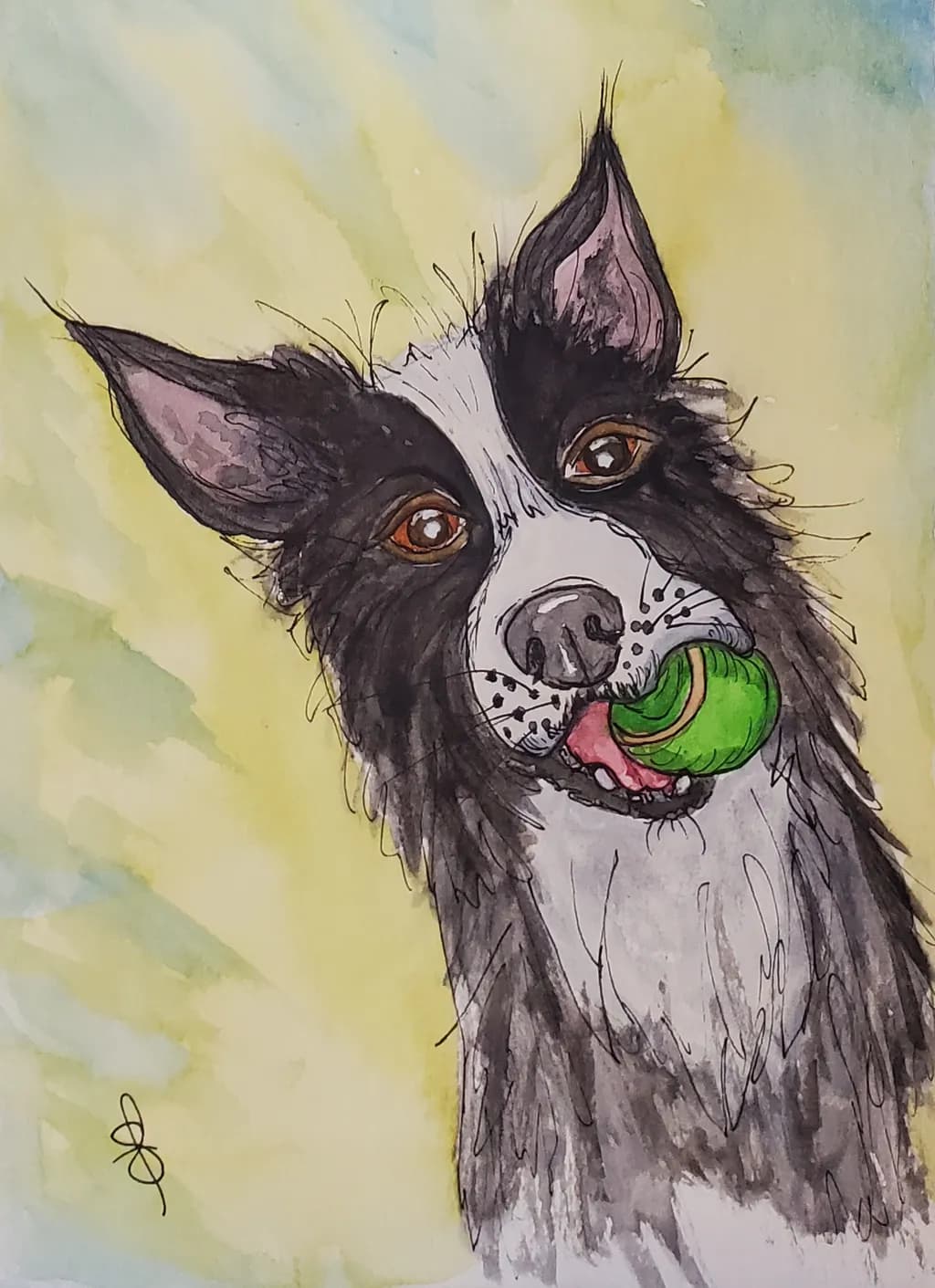 Fetch Ready