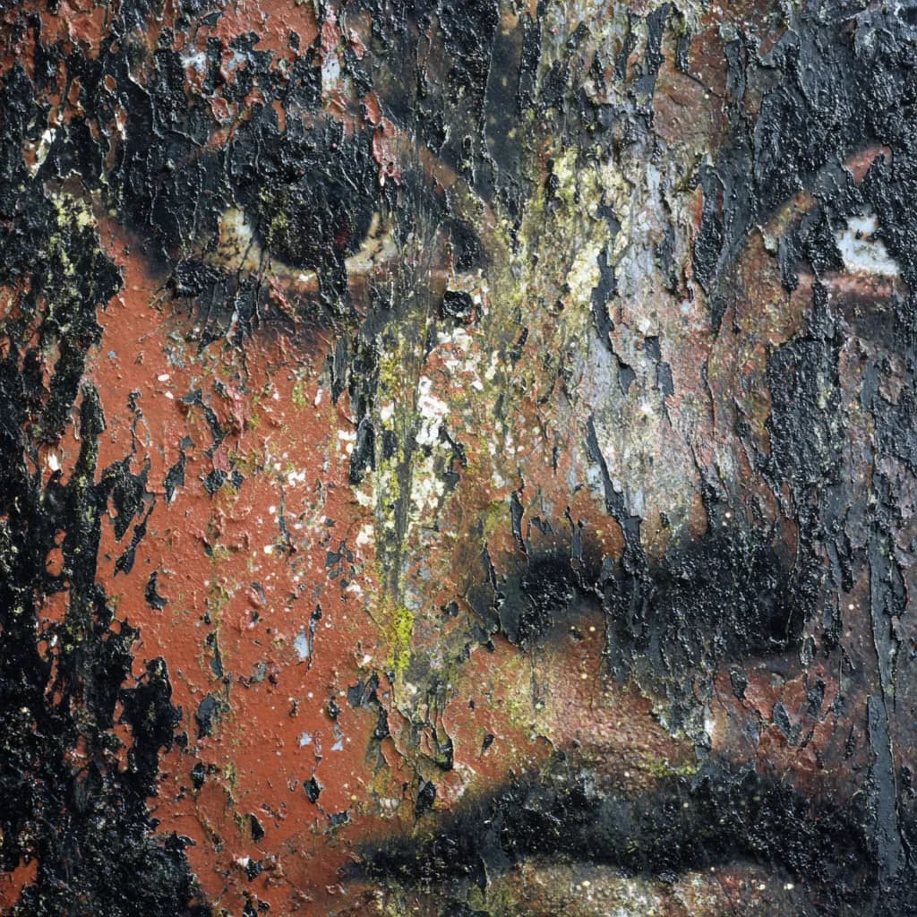 Weathered Gaze
