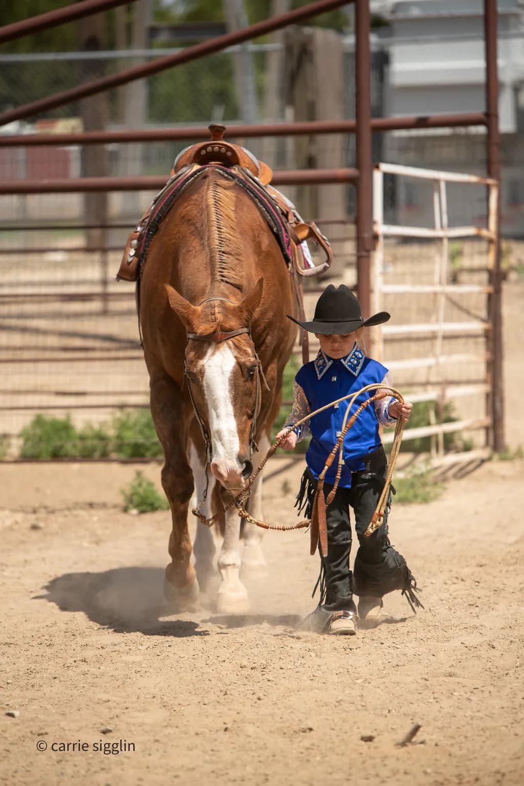 Young Wrangler