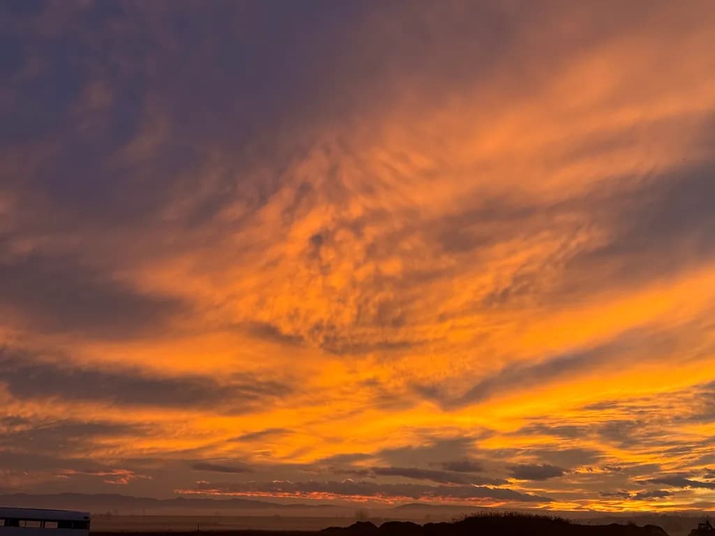 Burnished Horizon