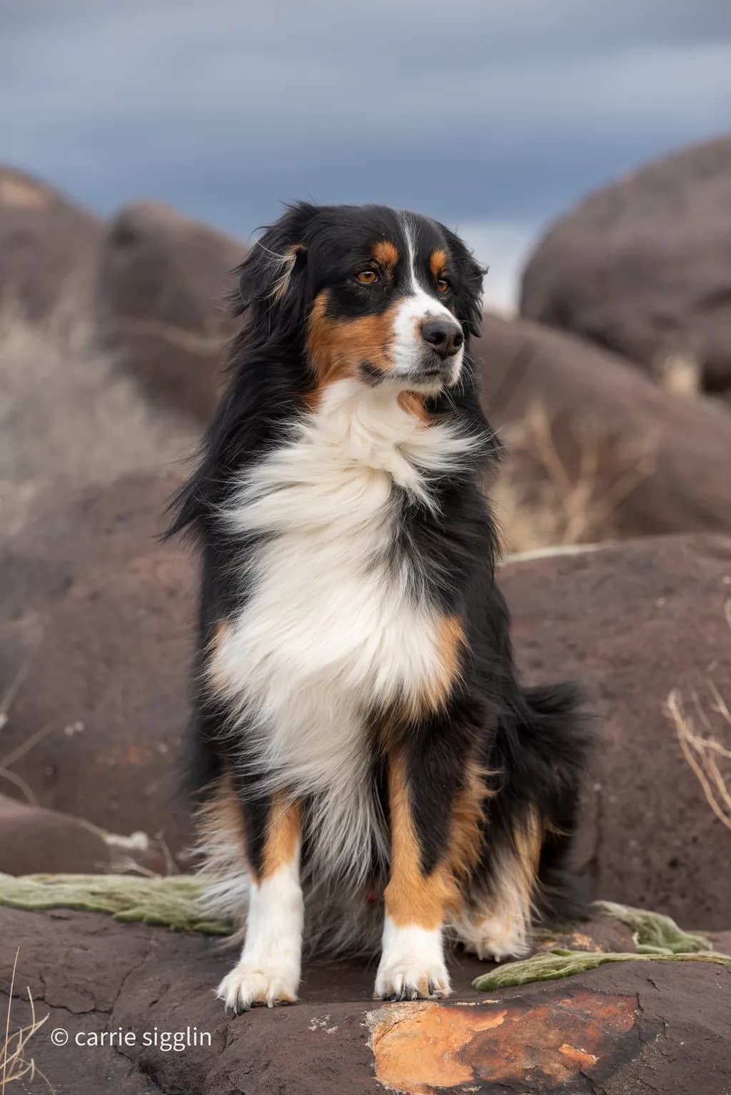 Rockside Guardian