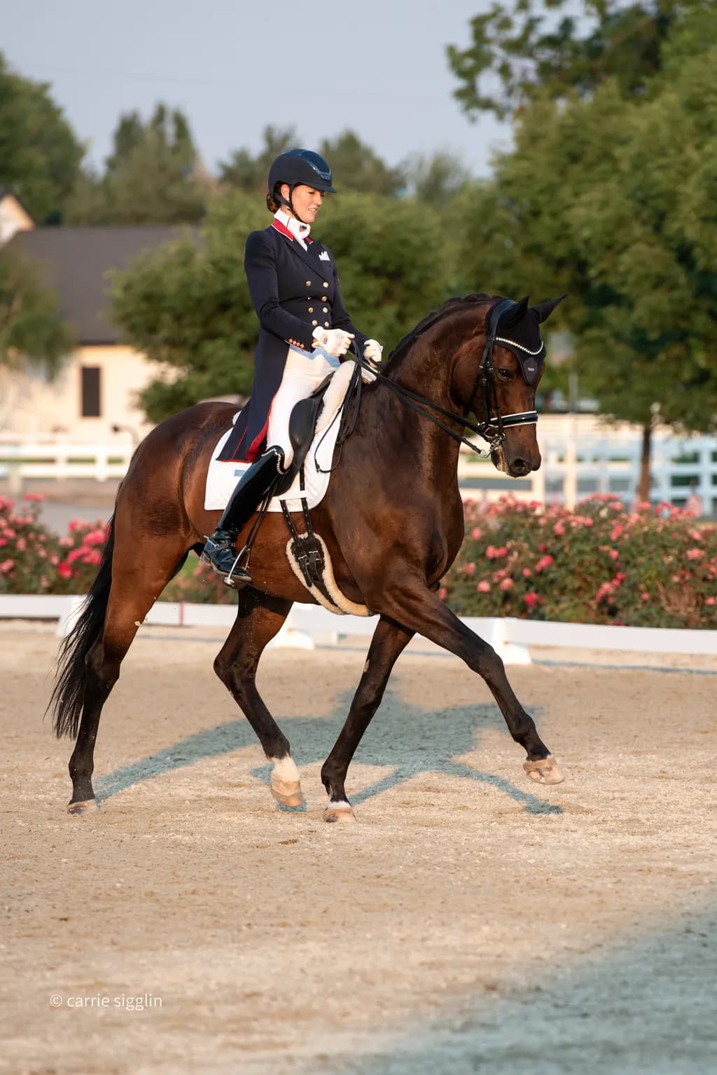 Dressage Grace