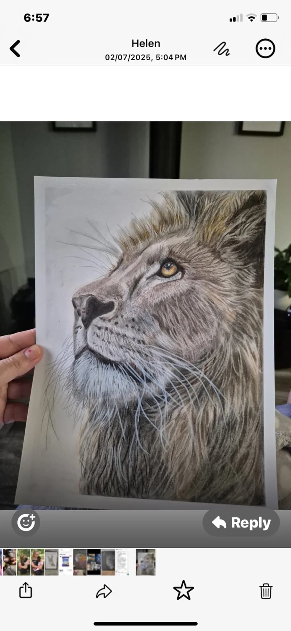 Amber-Eyed Lion