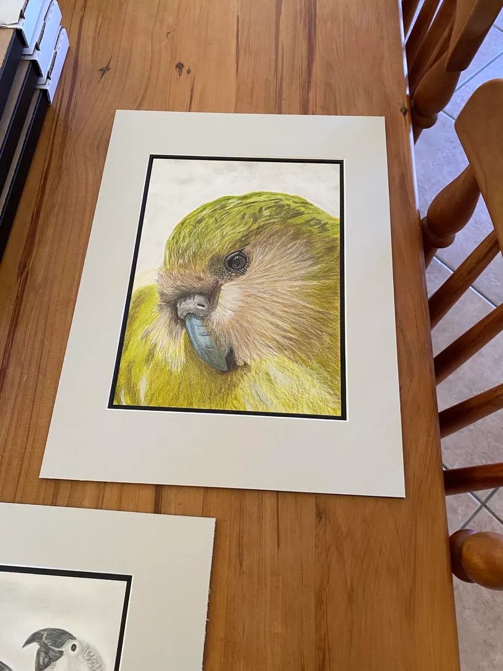 Green Parrot Portrait
