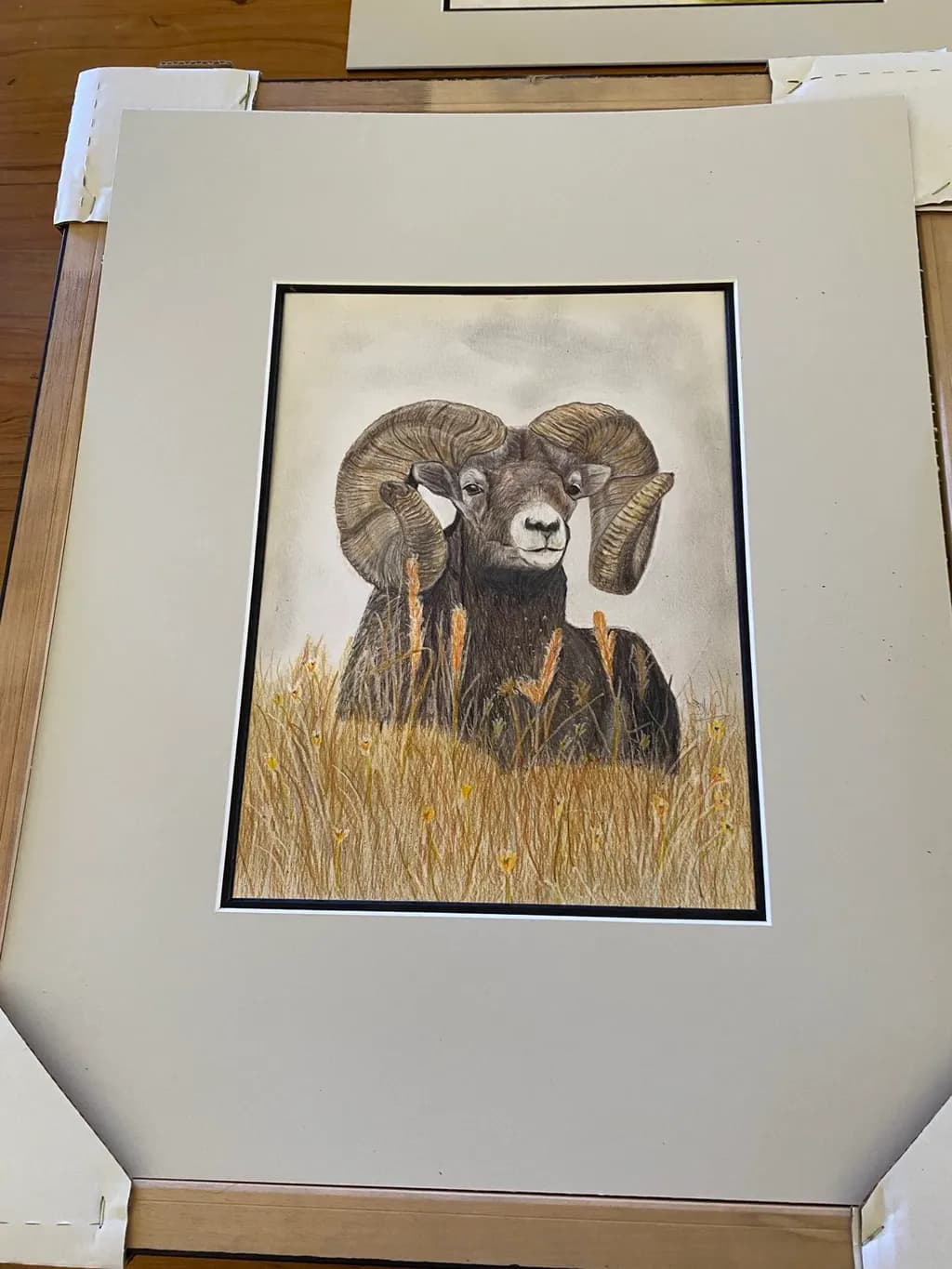 Ram in Golden Grass