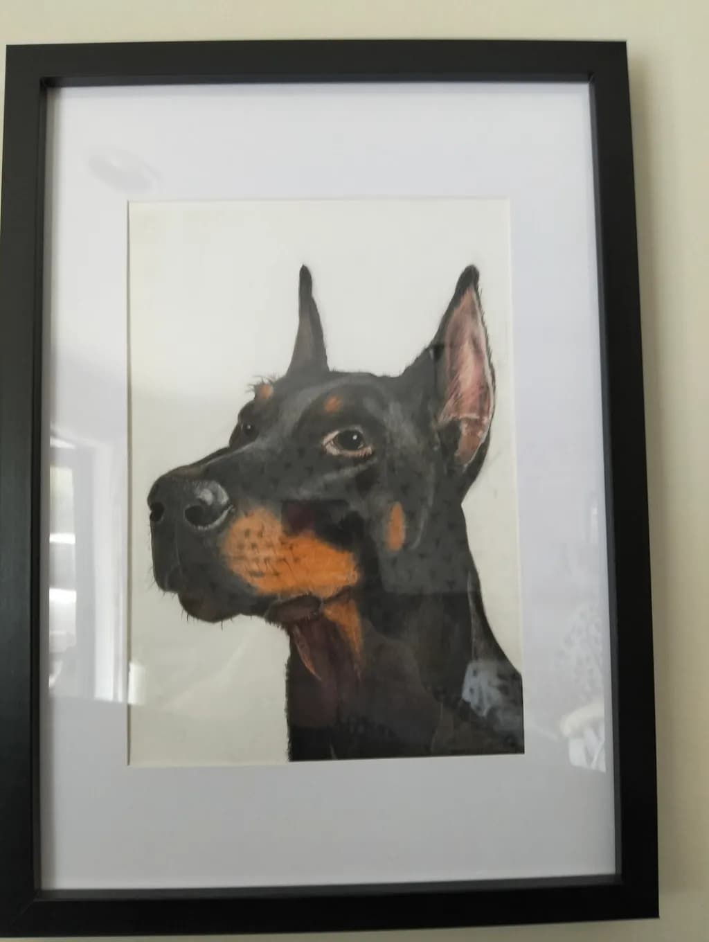 Doberman Portrait