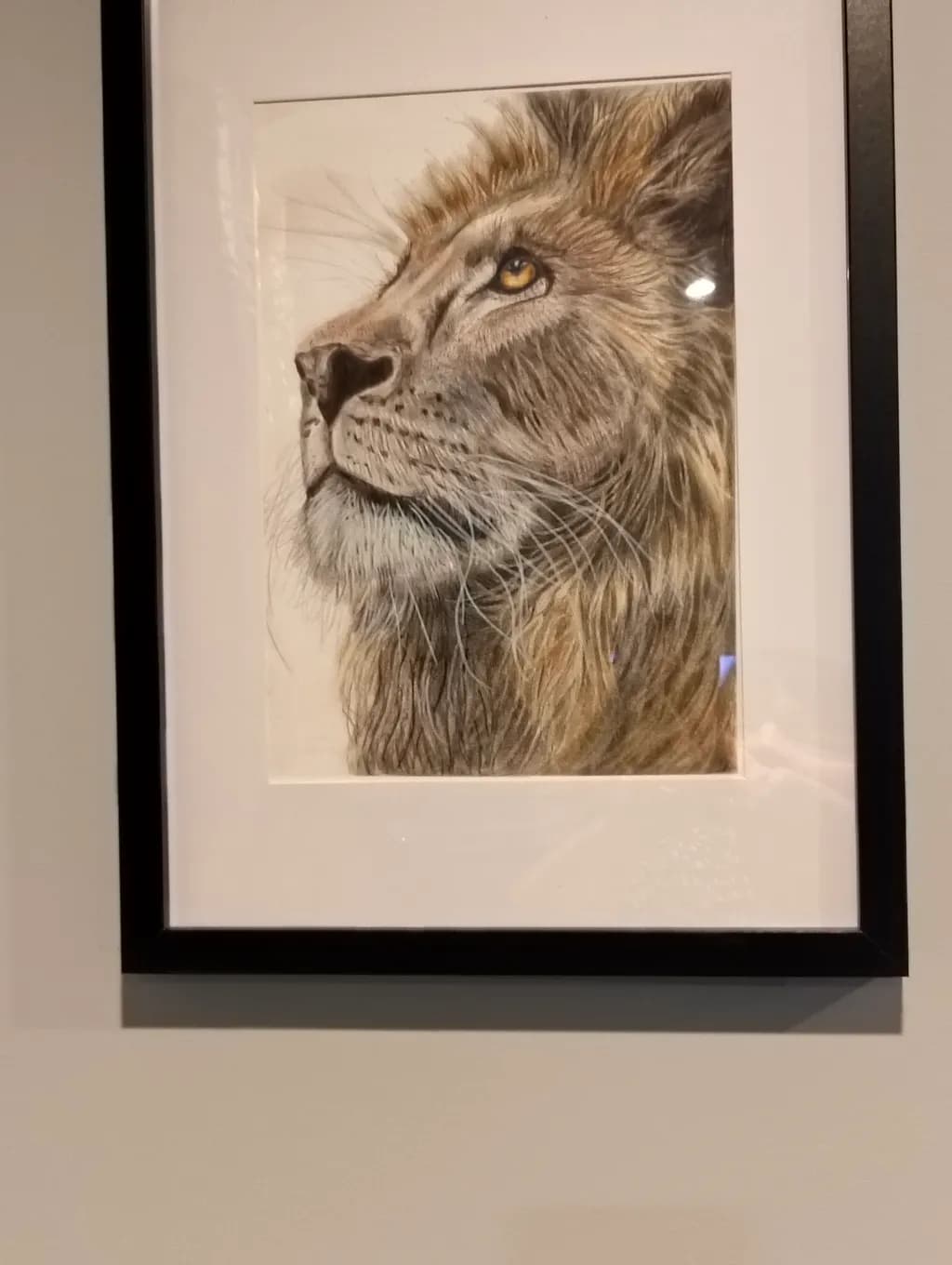 Lion in Profile
