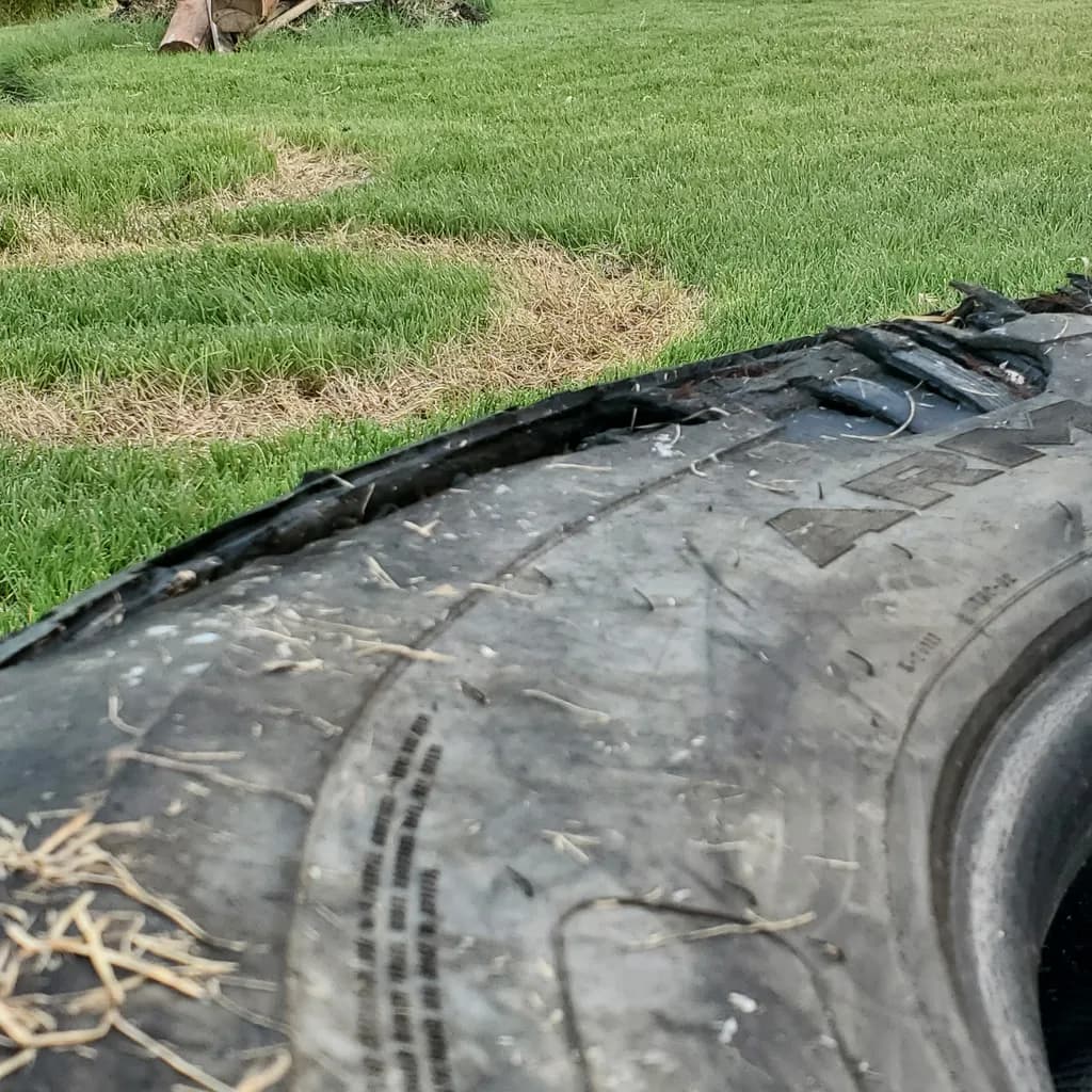 Old Yard Tire