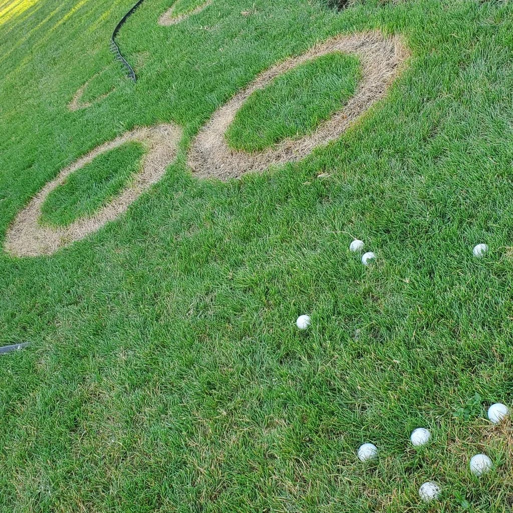 Golf Grass Practice Rings