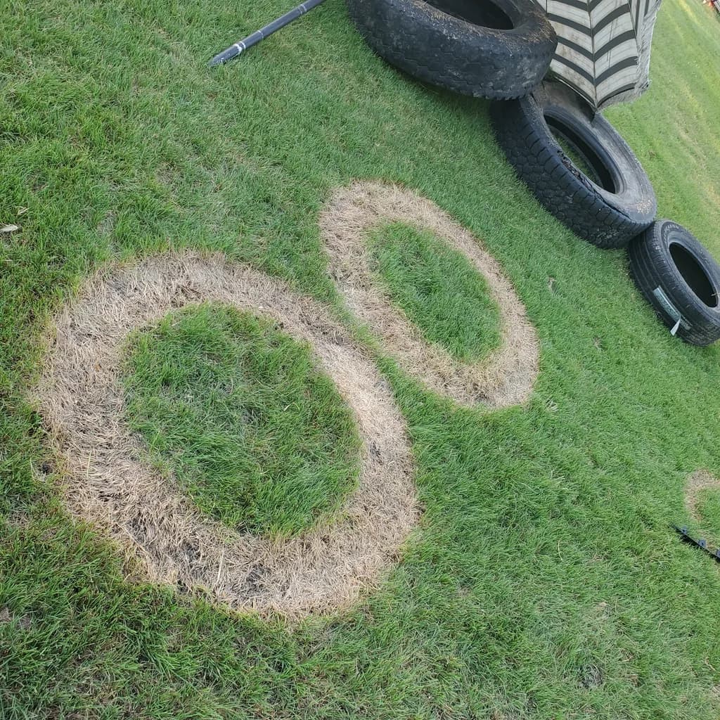 Grass Training Tires
