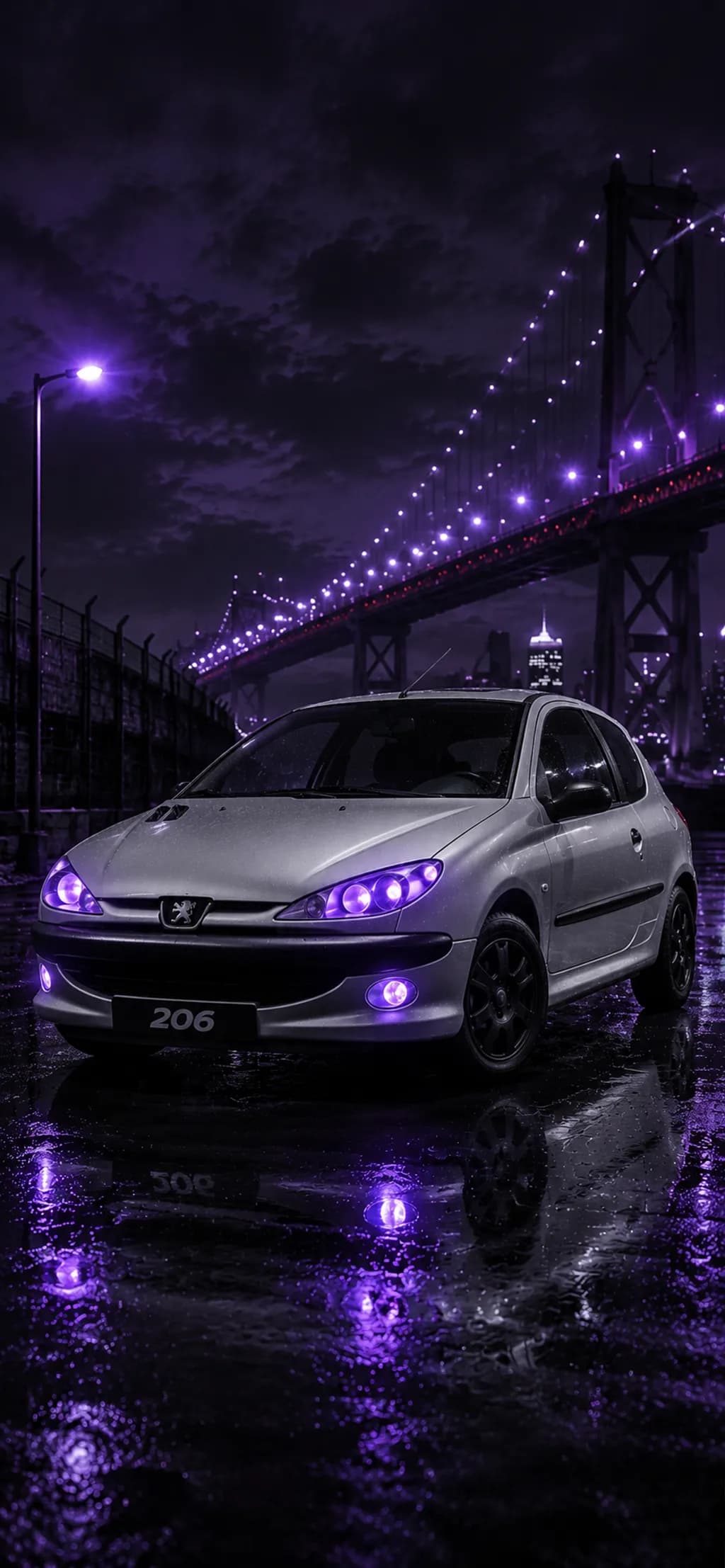 Neon Peugeot 206