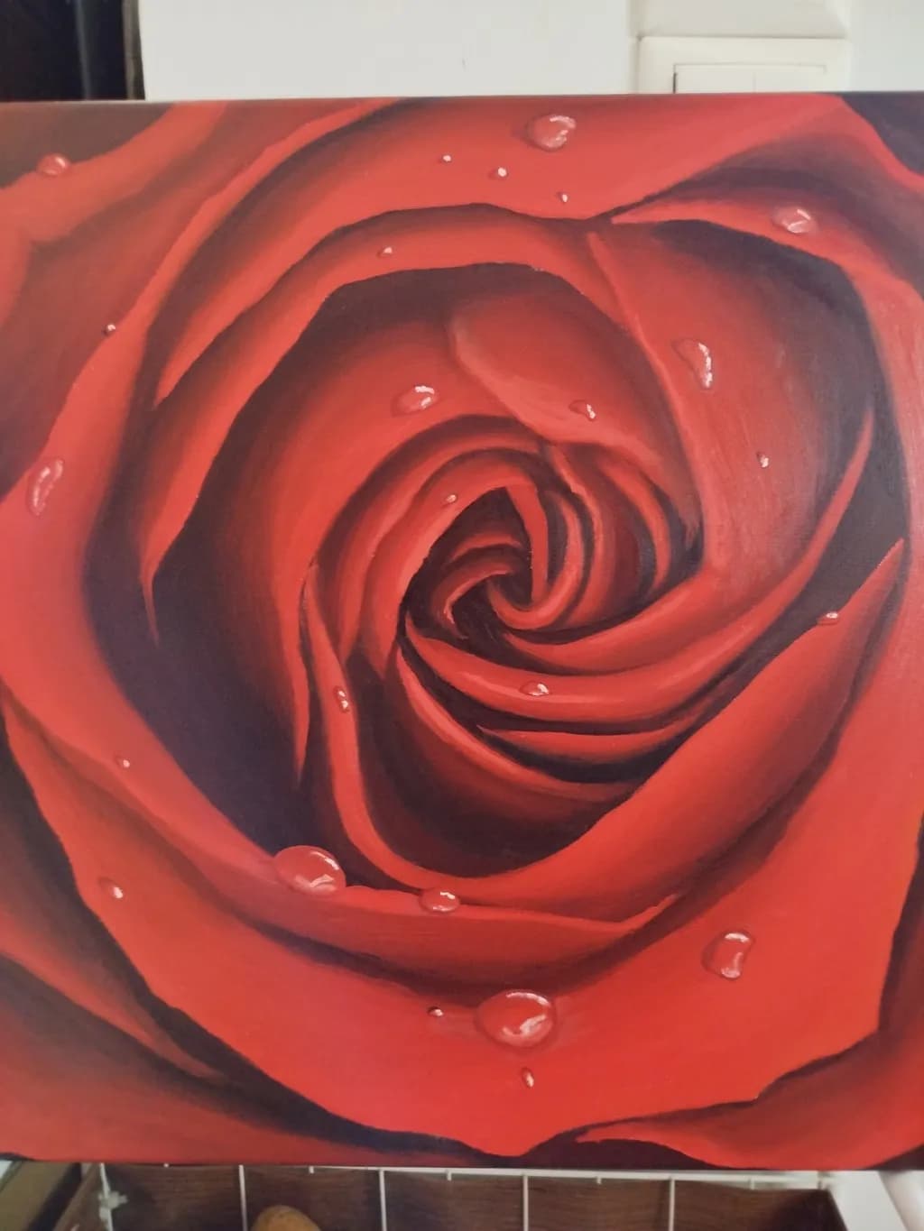 Red Rose Closeup
