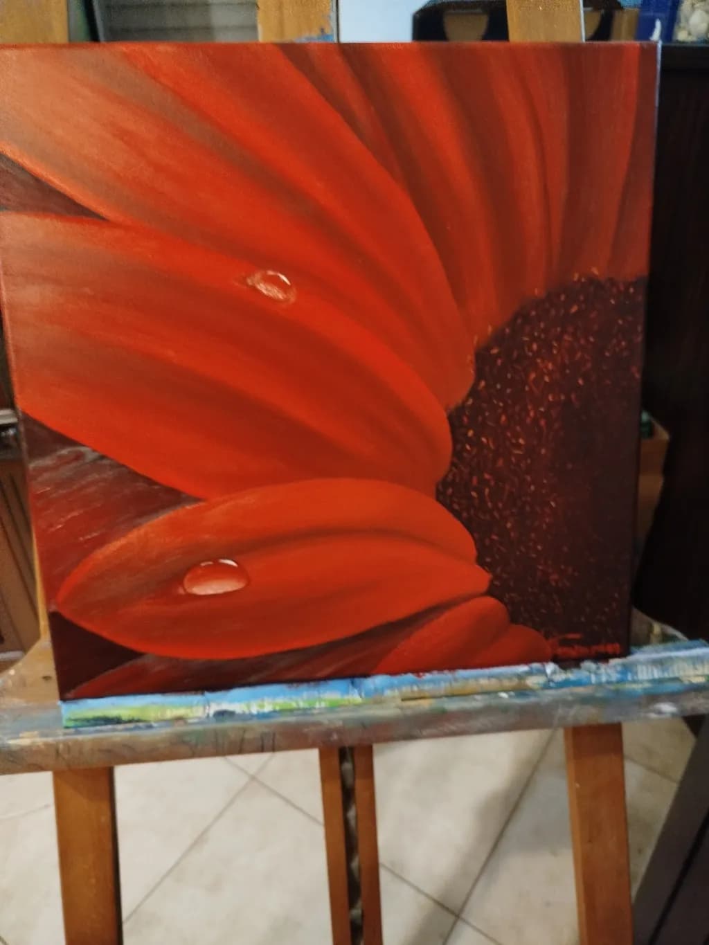 Red Flower Closeup