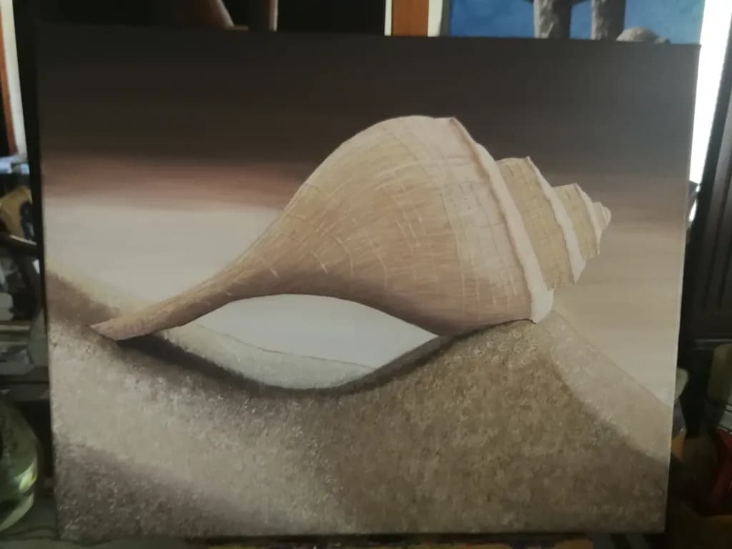 Curled Shell
