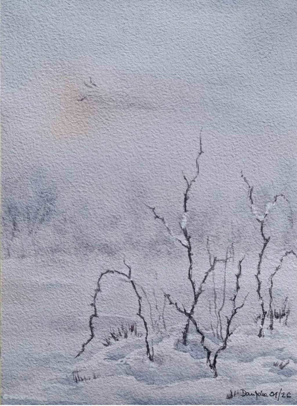 Winter Branches