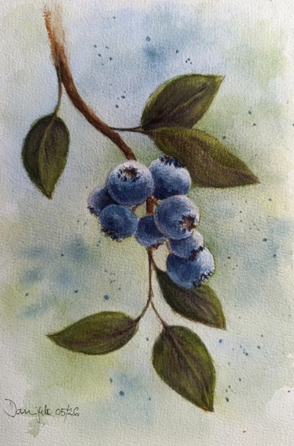 Blueberry Branch