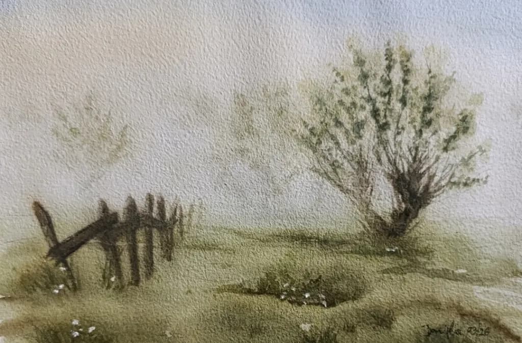 Rustic Fence Meadow