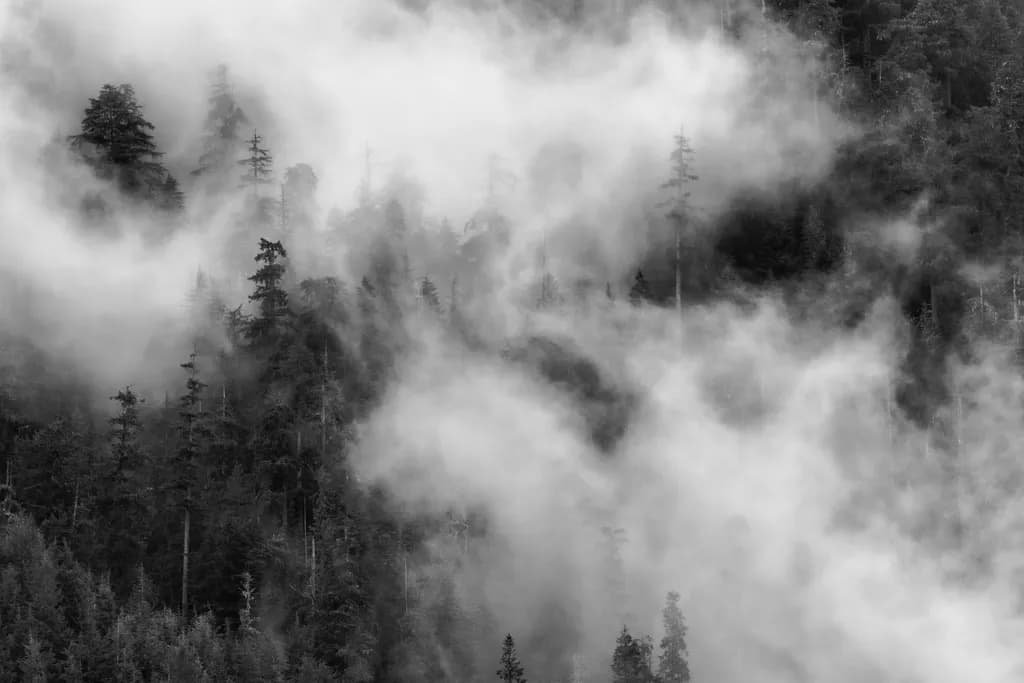 Snoqualmie Mist