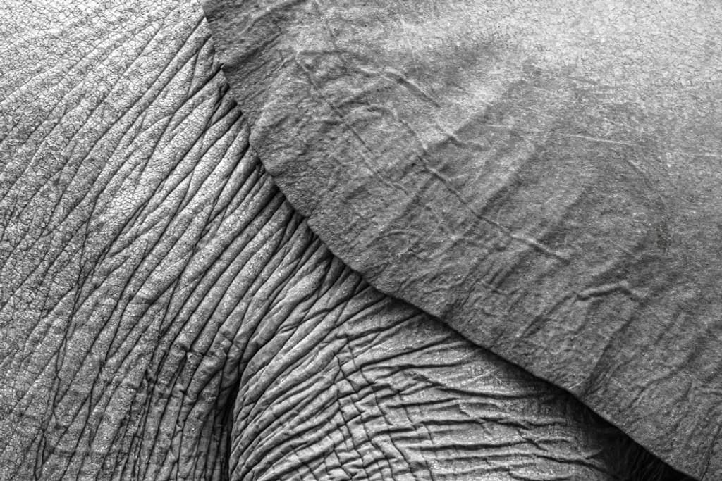 South Africa Texture