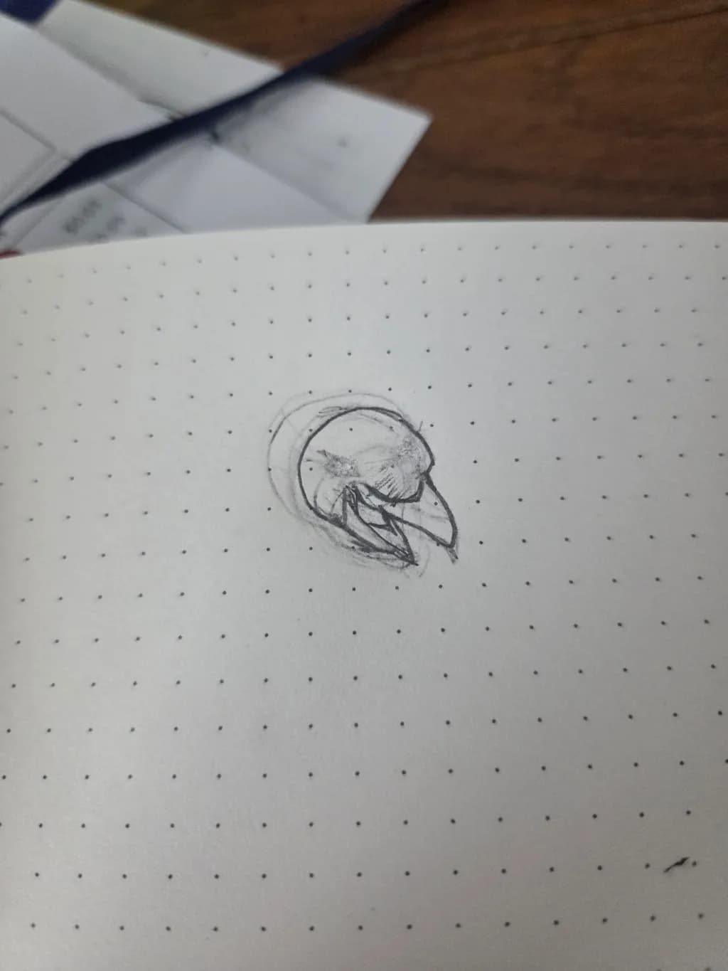 Raven's Profile