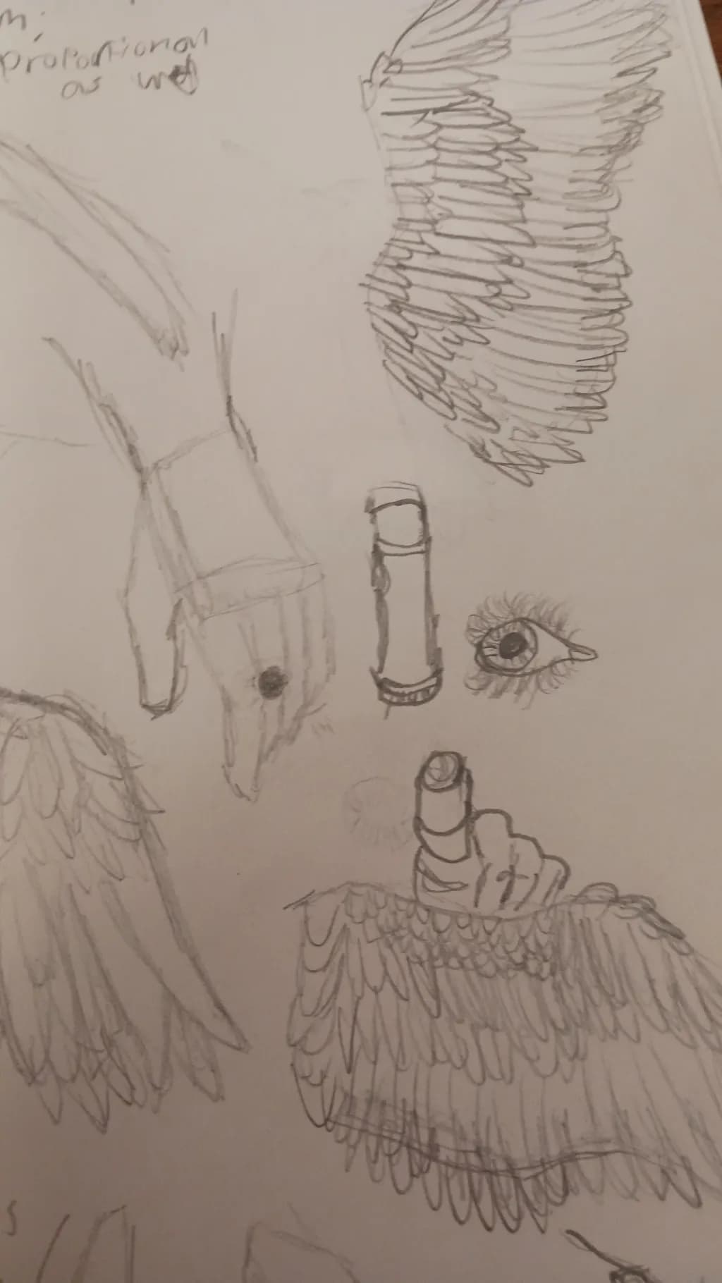 Winged Gesture